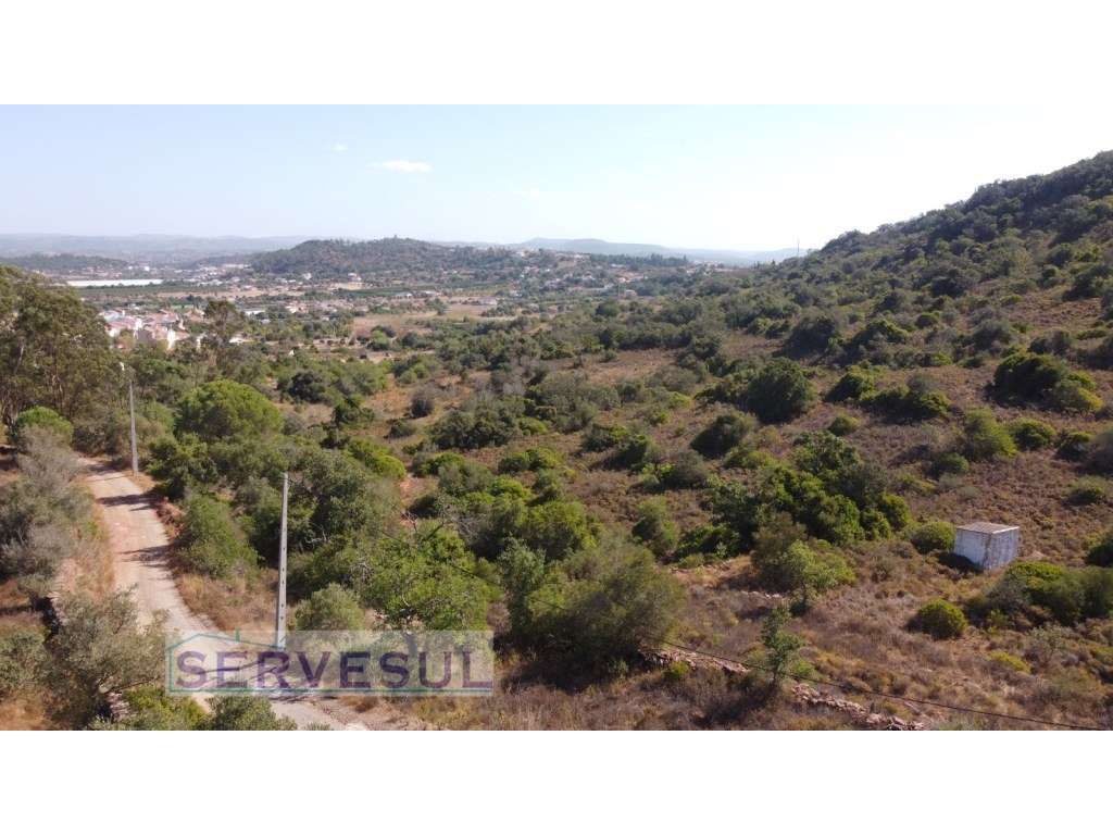 Terreno rústico com area total de 53080 m2, localizado junto à Alde... - Grande imagem: 5/14