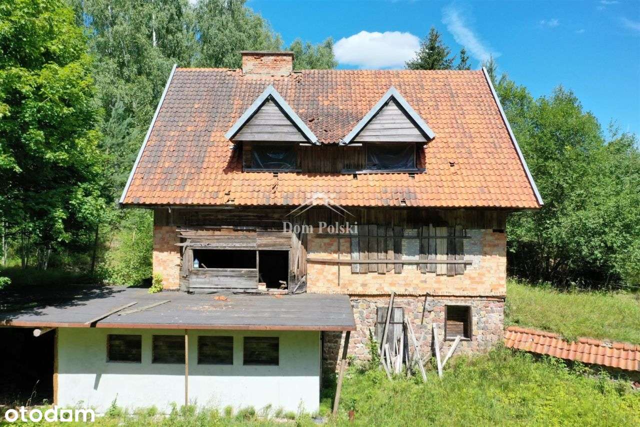 Puszcza Borecka 3 ha, dom 320 m2 - Szwałk - Pełny obrazek: 5/18