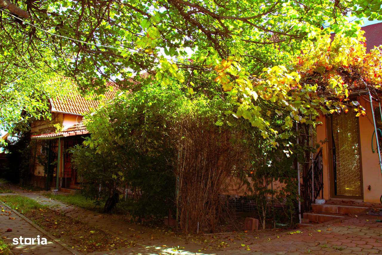 Propietate rară,ultracentral în Sf.Gheorghe,singur in curte,acces auto-13