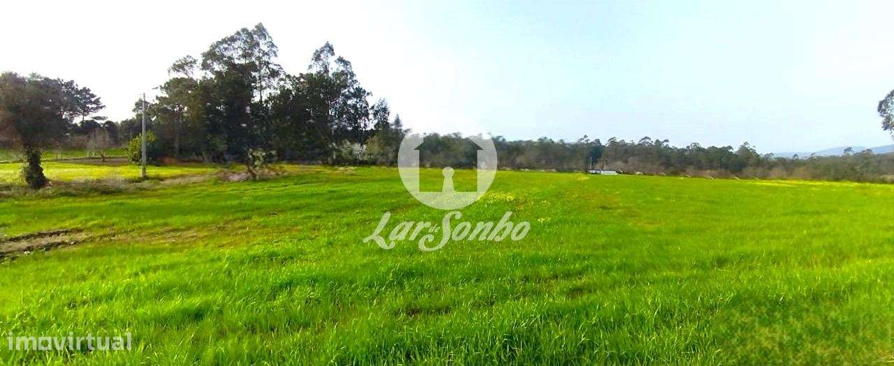 Excelente terreno em Esposende para Construção de Moradias-1