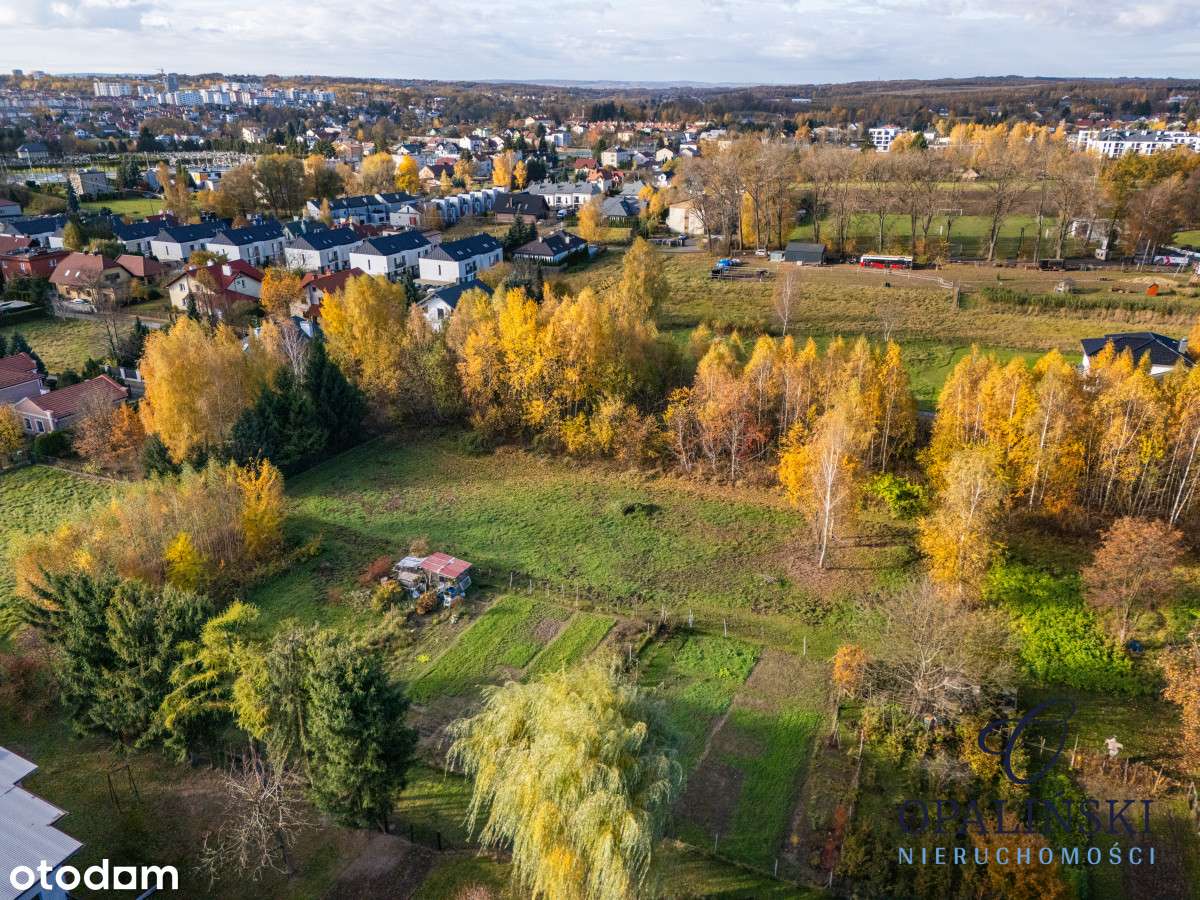 Kameralna okolica | Krakowska | WZ | Zieleń-3