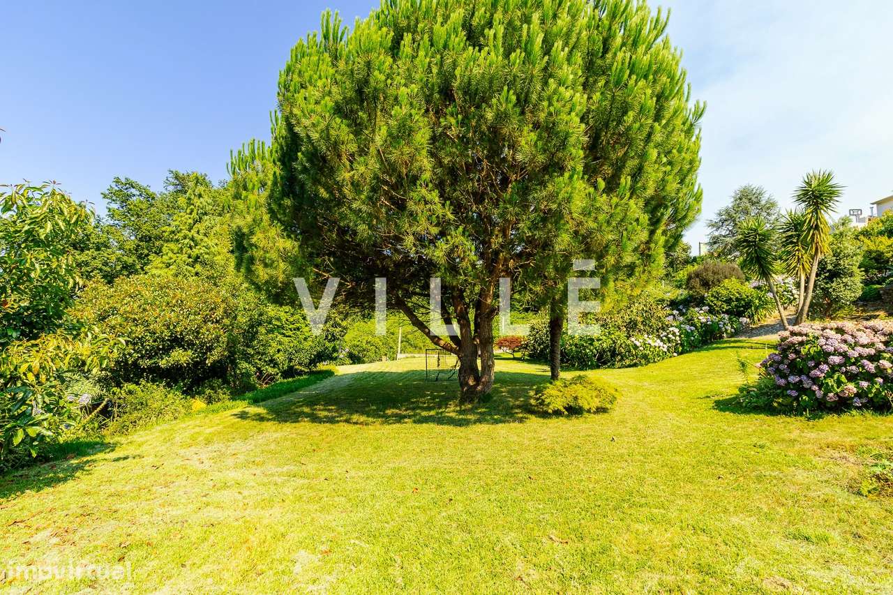 Moradia Térrea com Cave e Terreno – Fermelã, Estarreja-59