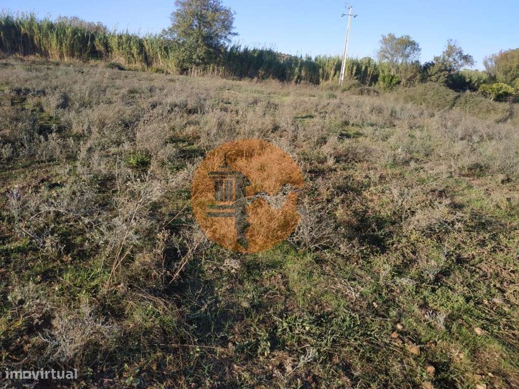 TERRENO COM RUINA - 4.960 M2 - COM NORA - ÁGUA DA BARRAGEM NA JUNQU...-23