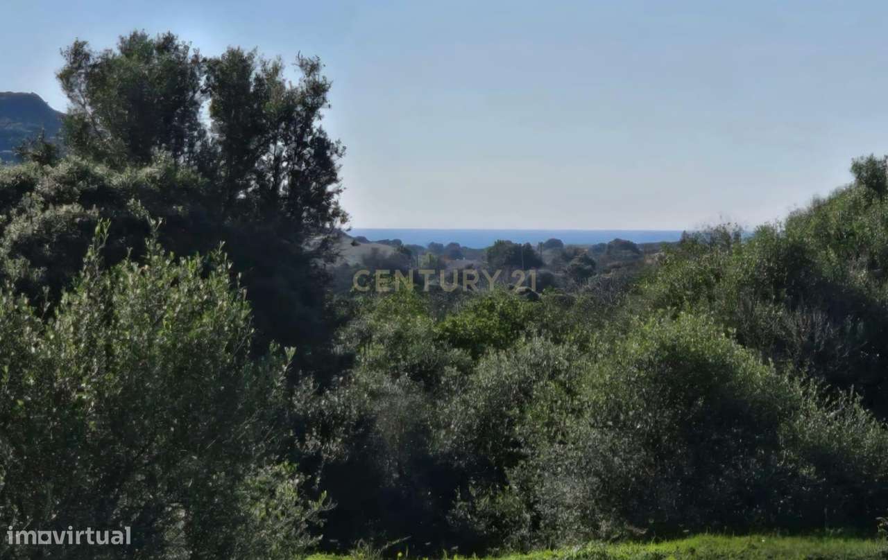 Quinta em Lagos, Praia da Luz,  46.000 m2, 2 casas e 2 Armazéns-24