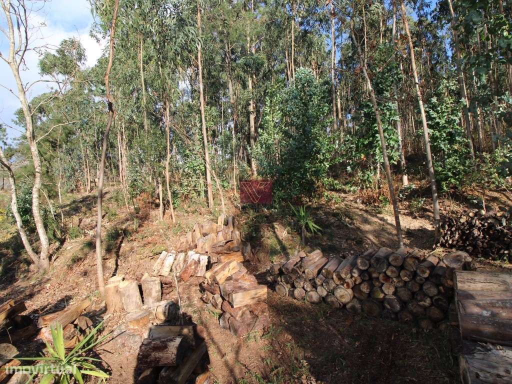 Terreno - Grande imagem: 2/7