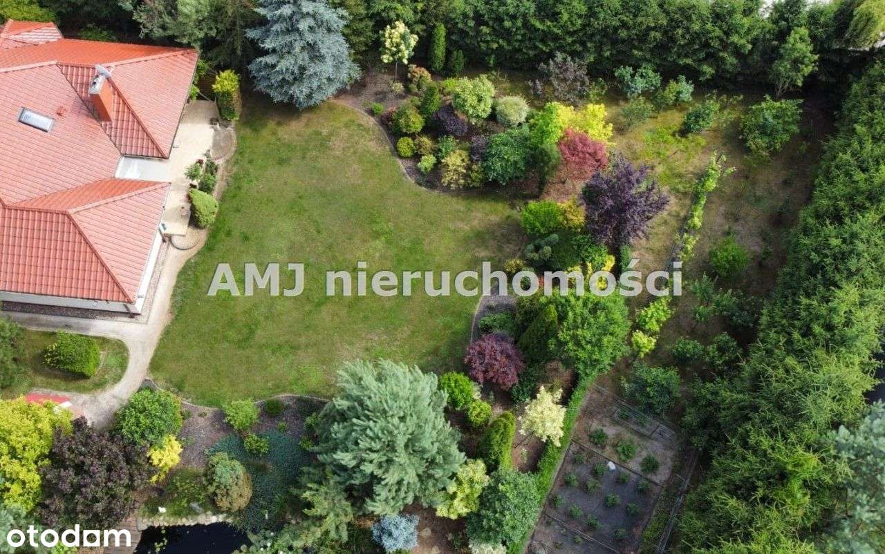 Działka w otulinie lasu - Pełny obrazek: 2/3