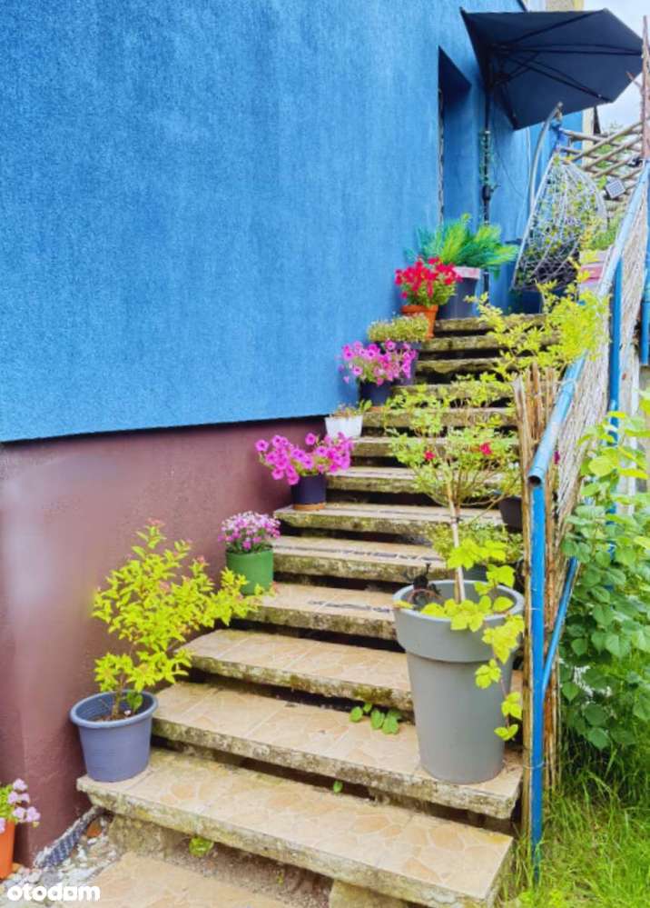 Wyjątkowa oferta dla inwestora !!! - Pełny obrazek: 5/9