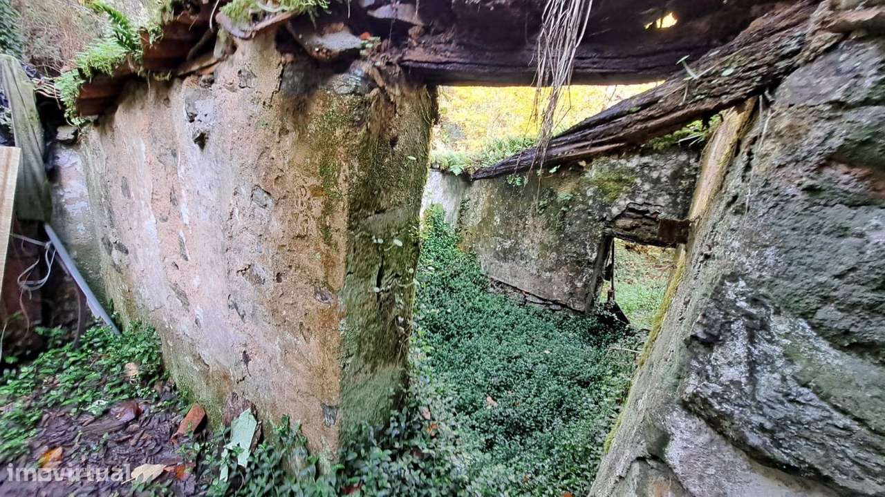 Quinta com casa para recuperar junto a ribeiro-23