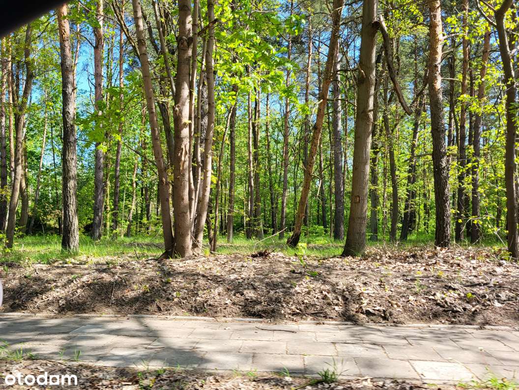 Grunt inwestycyjny (bezpośrednio od właściciela - Pełny obrazek: 5/5