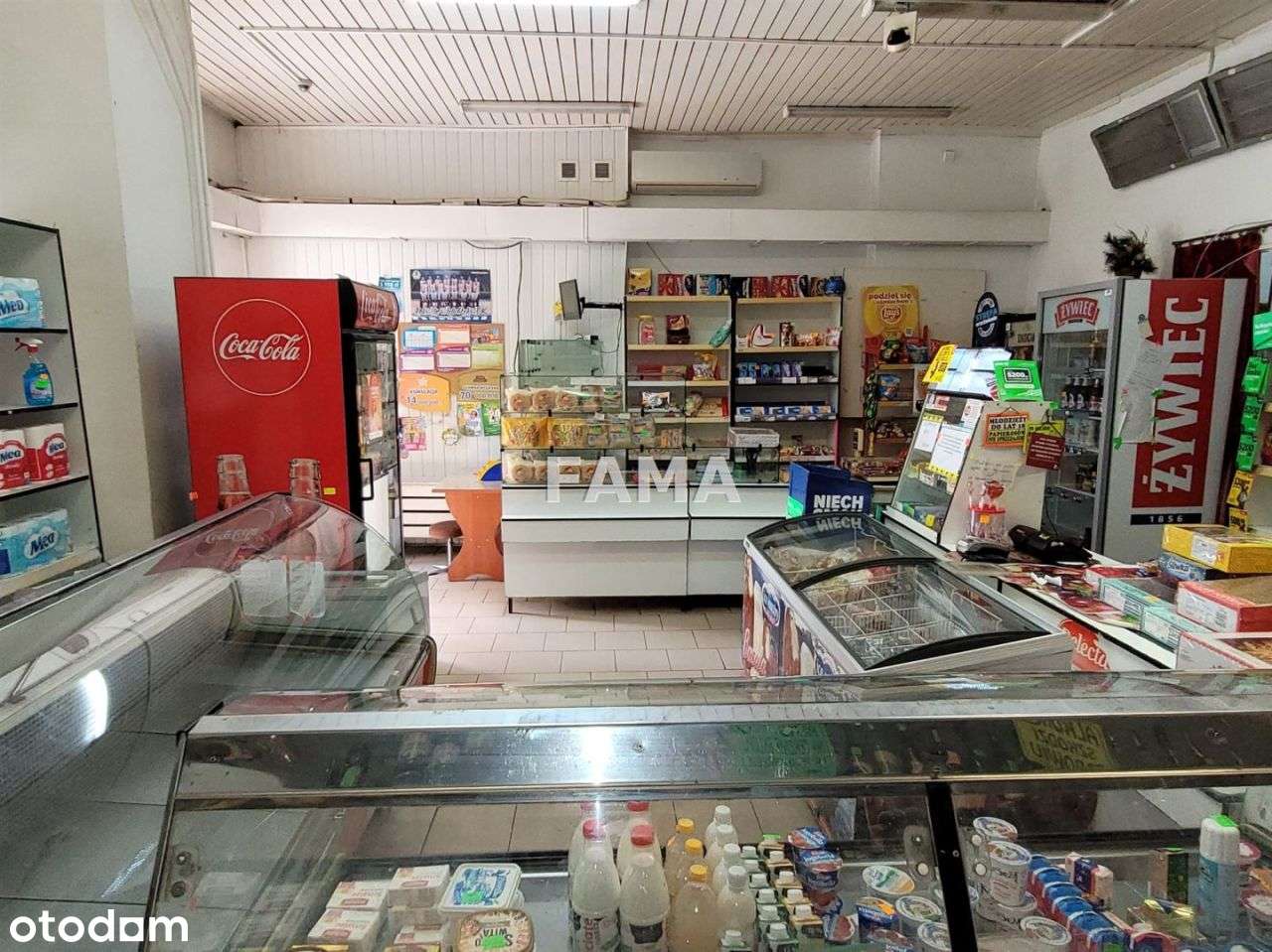 Lokal 71,17 mkw, K. Wielkiego, wys. 3,5 M - Pełny obrazek: 3/5