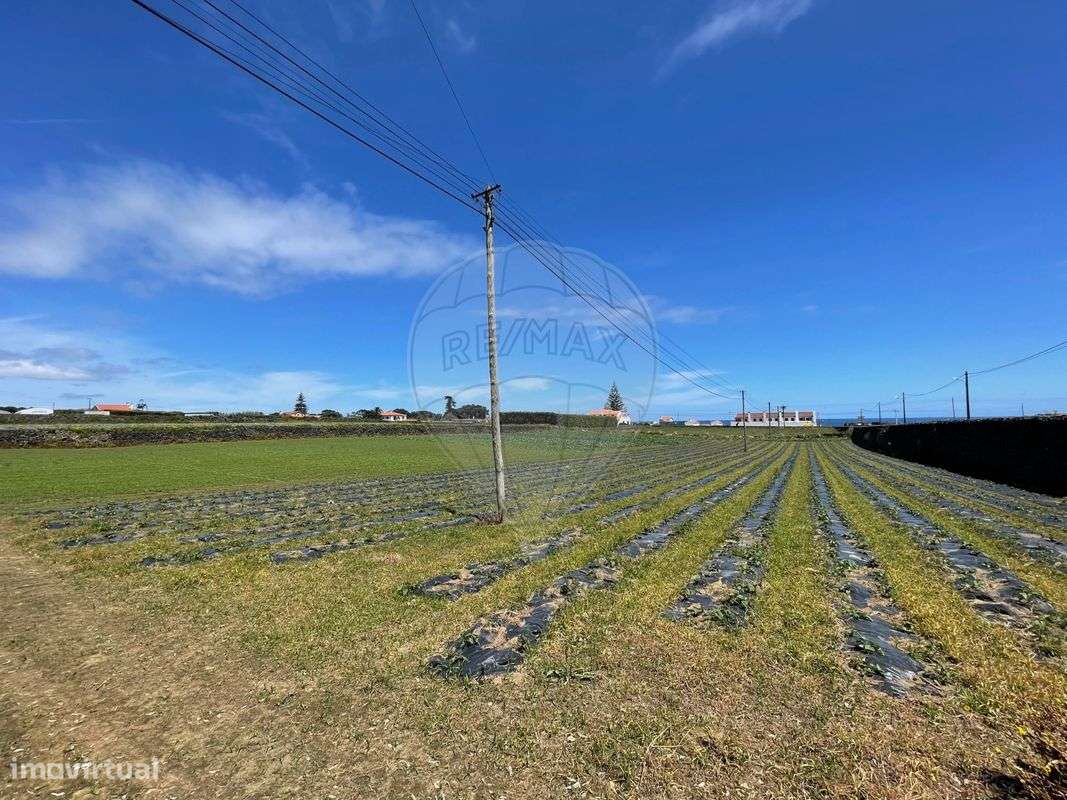 Terreno  para venda - Grande imagem: 4/7