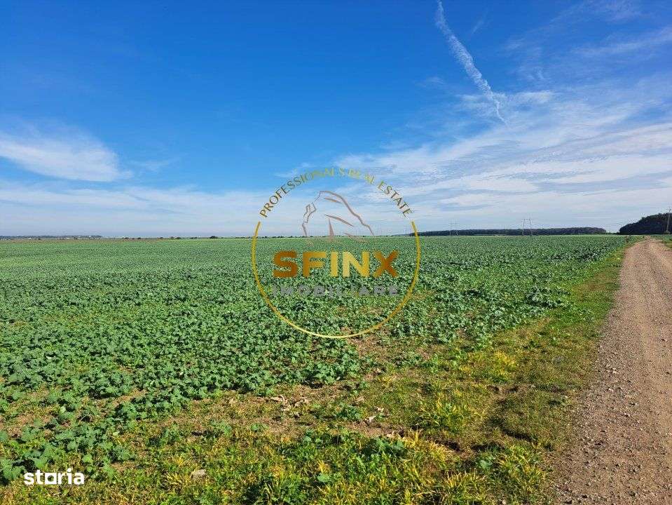 Teren intravilan Branesti 27000 mp km 12 Autostrada A2 - Imagine principală: 3/6