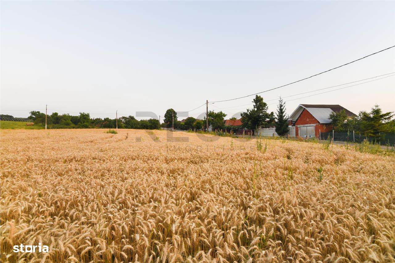 RECO Teren intravilan pentru casa  Lazareni - Imagine principală: 2/12