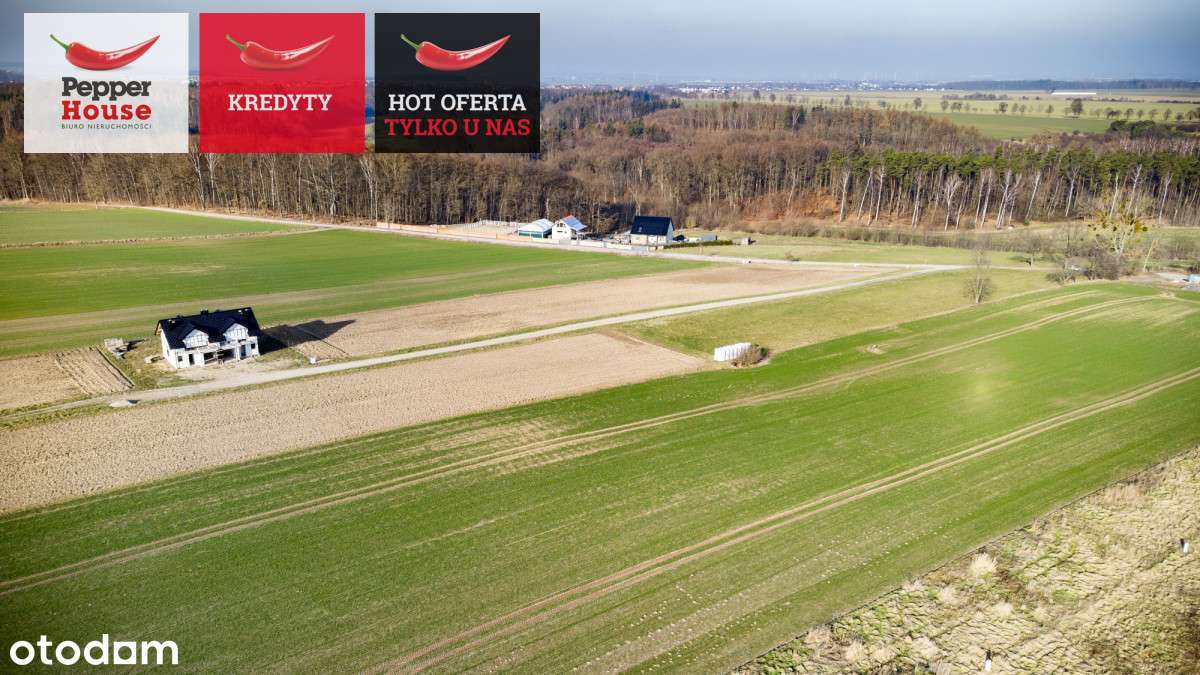 Działka blisko morza! Osłonino - Pełny obrazek: 5/17