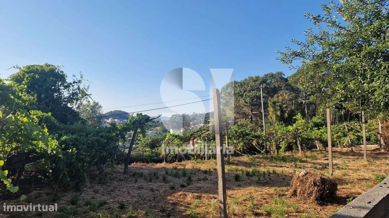 Terreno - potencial de investimento - Astromil - Paredes-8