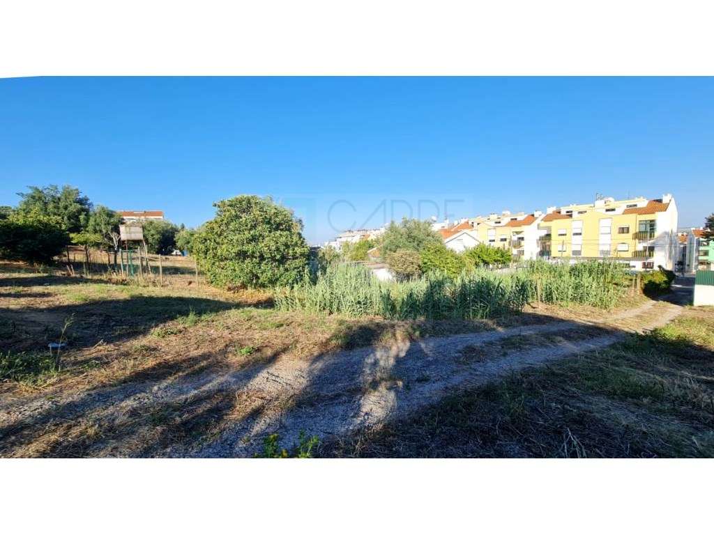 Terreno de 2455m2 com PIP para construção de prédio com 4 apartamen...-12