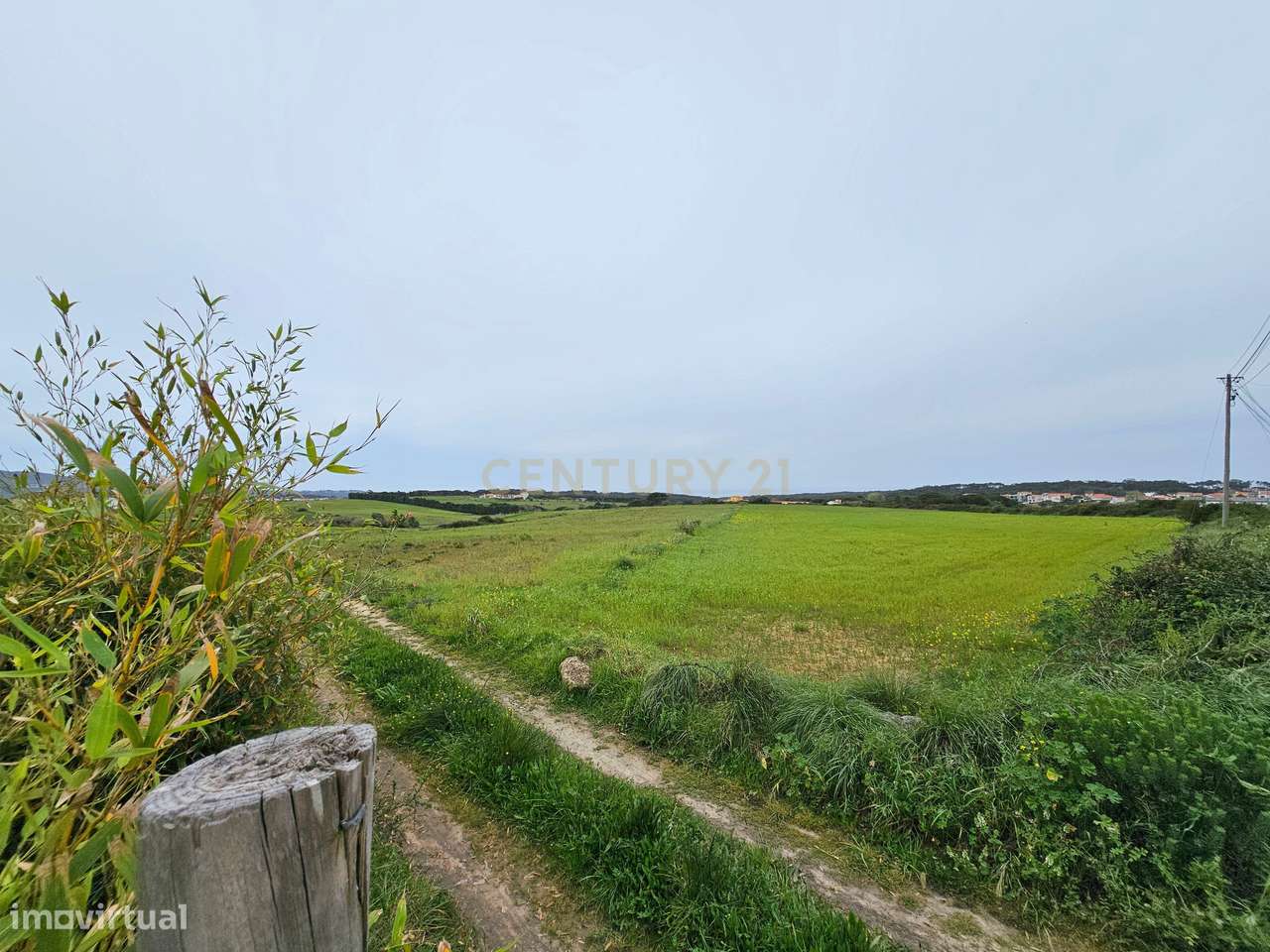 Terreno Rústico | 14160m2 | Sintra | Fontanelas | Av. Nossa Senhora da-3