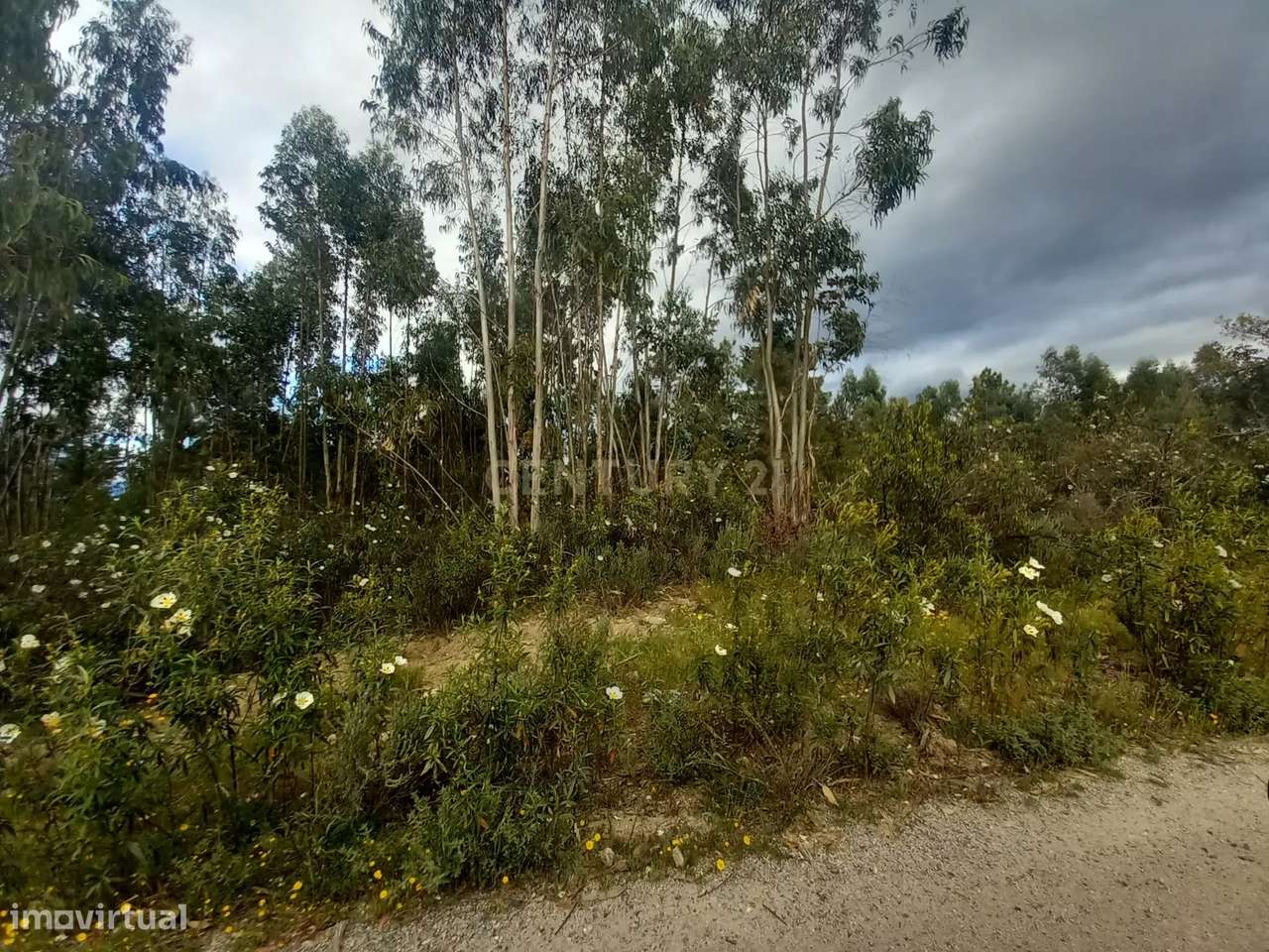 Terreno Panorâmico em Sarnadas de Ródão, Castelo Branco-6