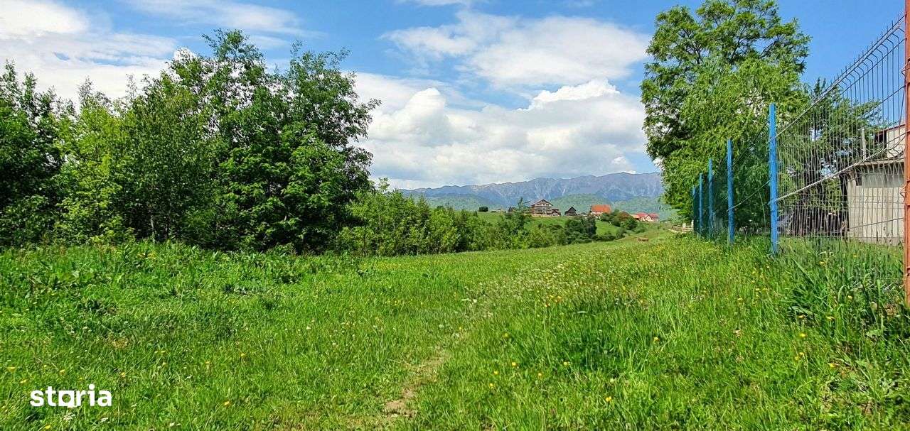 Teren casa de vacanta , Pestera , Brasov-18