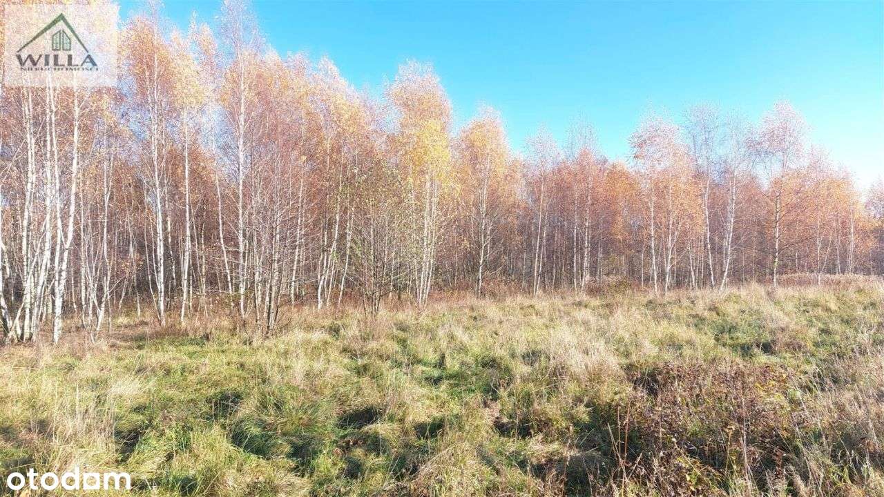 Działka w ustronnej i malowniczej lokalizacji.-6