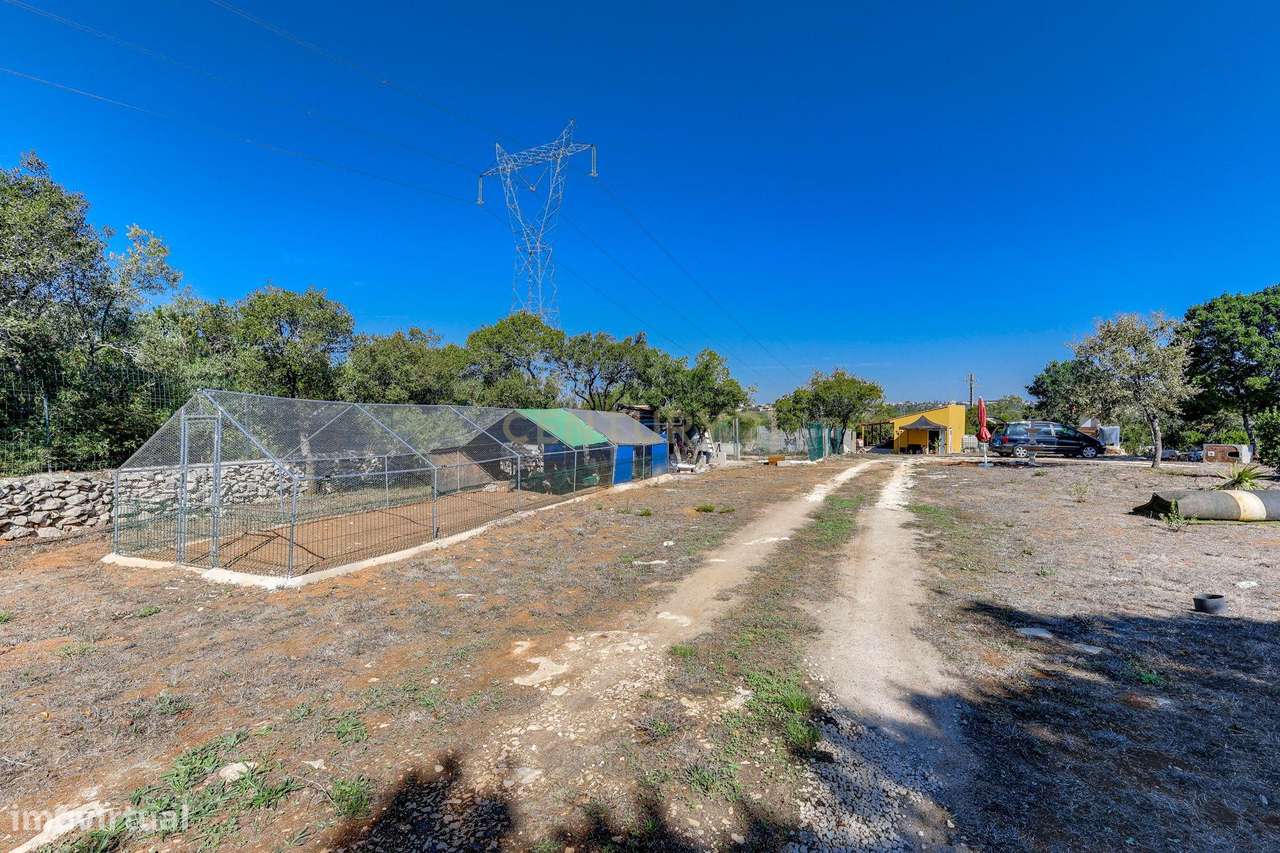 Terreno 13.800 m², Rendimento Imediato e Infraestruturas Completas-17