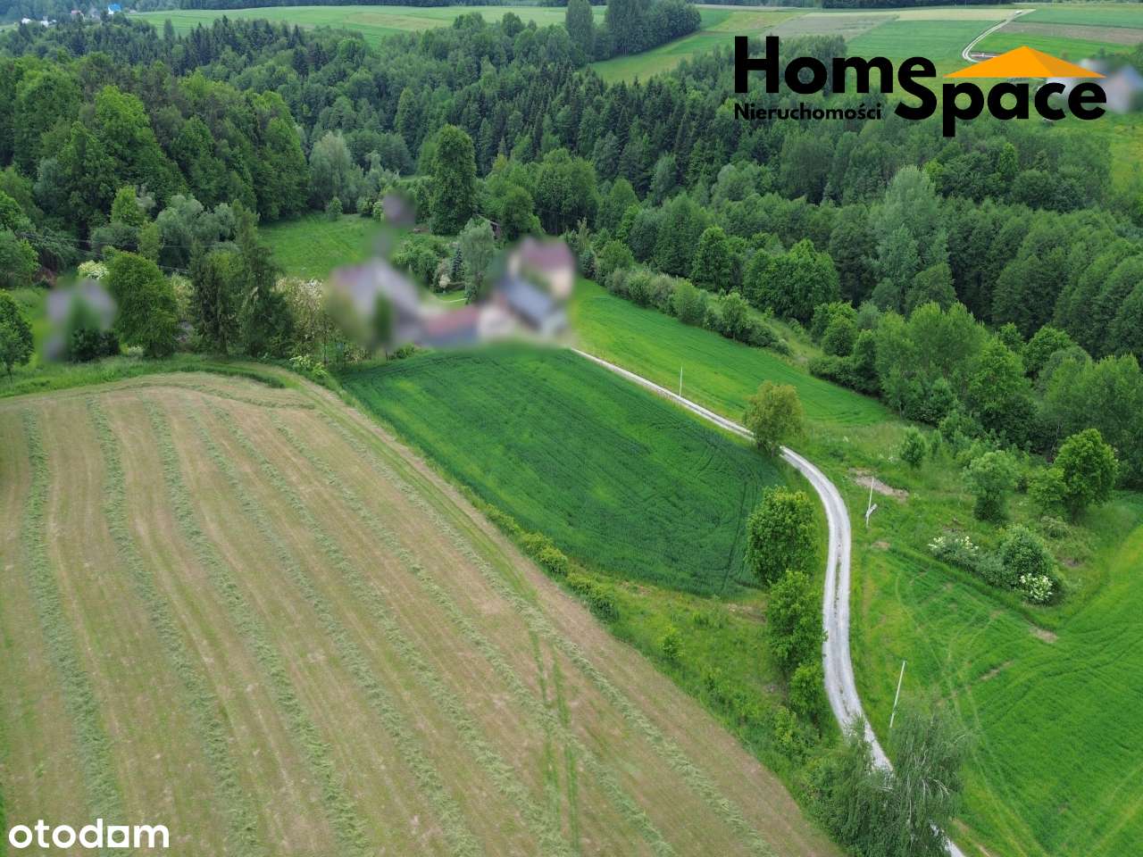 Działka na sprzedaż Brzeziny, gm. Wielopole Skrzyńskie - Pełny obrazek: 4/7