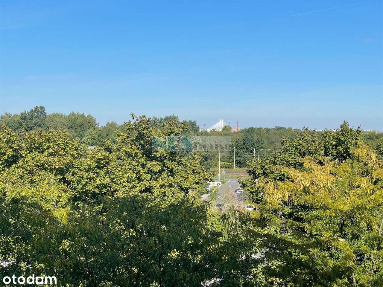 Pełen rozkład, tramwaj!-18