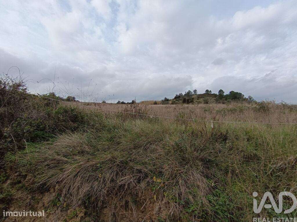 Terreno em Vila Verde dos Francos de 14040,00 m2 - Grande imagem: 5/25