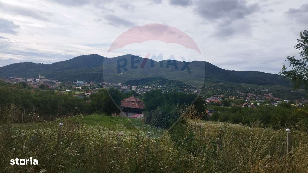 TEREN INTRAVILAN 2900 mp ȘIMLEU SILVANIEI/ Str. Corneliu Coposu/Sălaj - Imagine principală: 2/12