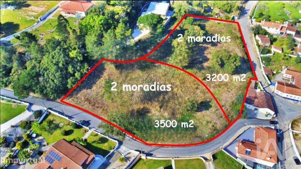 Terreno para construção em Salir de Matos de 6587,00 m2 - Grande imagem: 1/14