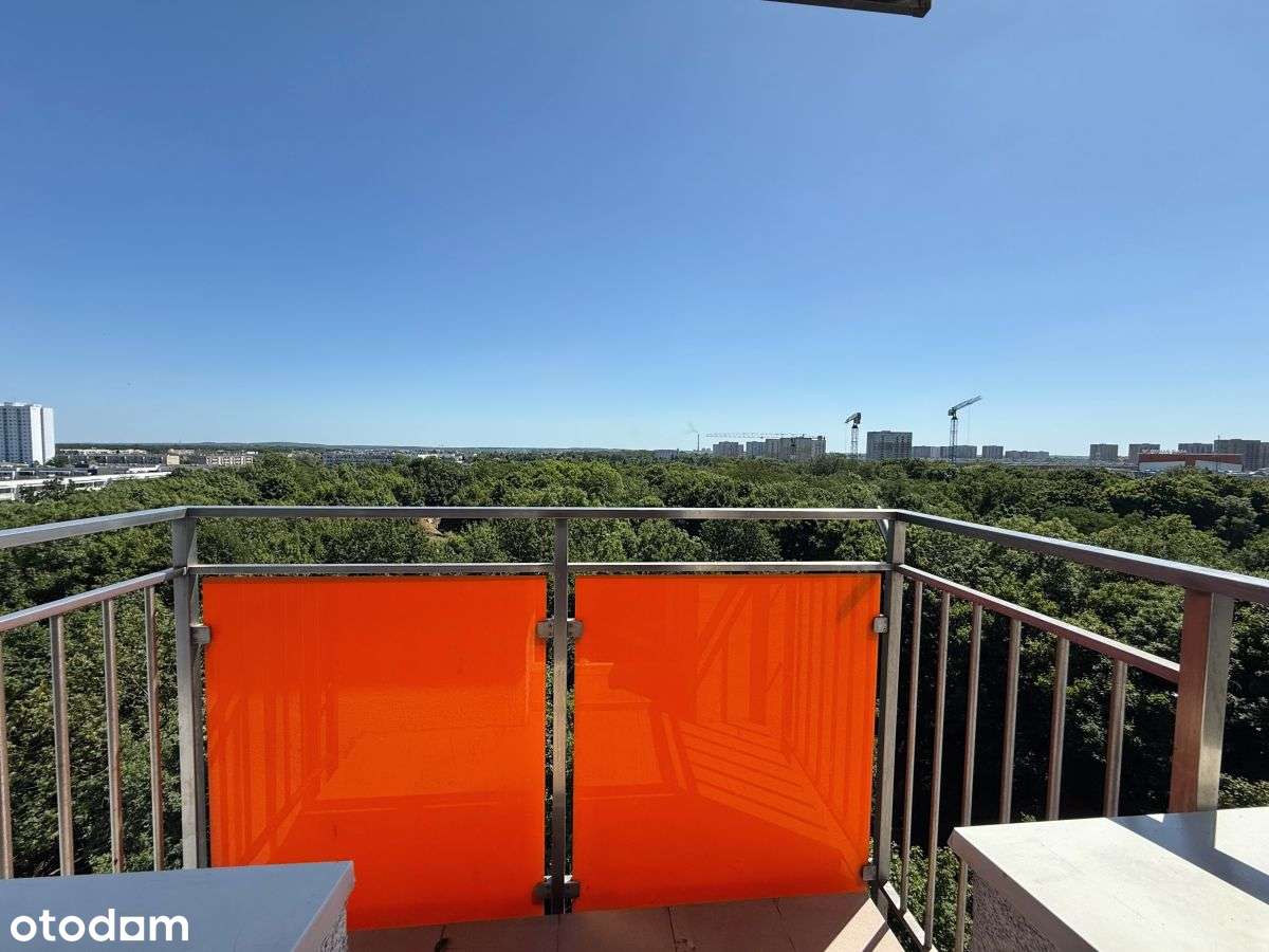 Piękny widok na panoramę, układ niezależny,-1