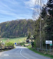 Teren spectaculos, vedere panoramica la munte, panta mica si padure