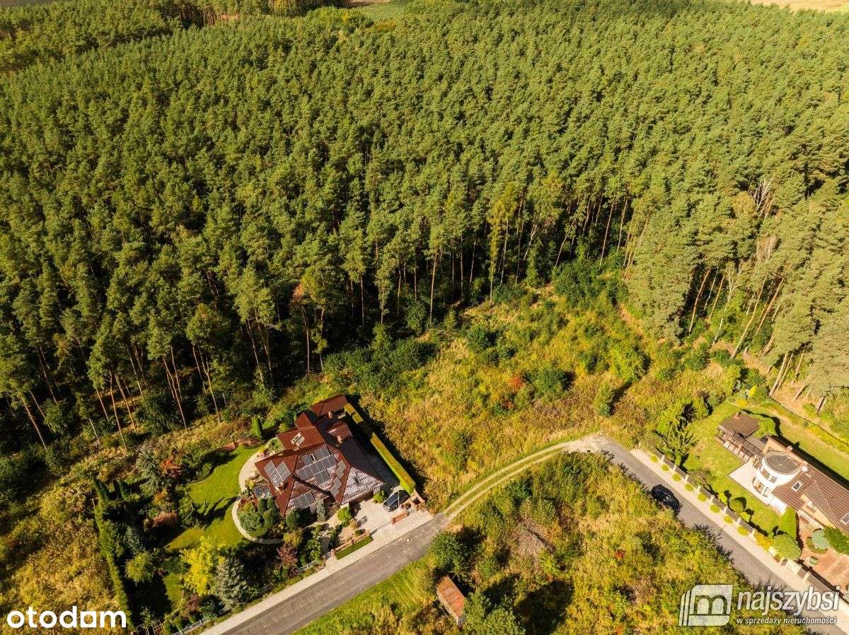 Kobylanka - działka rolna z Mpzp przy lesie - Pełny obrazek: 4/16