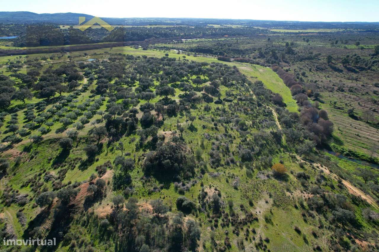 Quinta  Venda em Escalos de Baixo e Mata,Castelo Branco - Grande imagem: 3/33