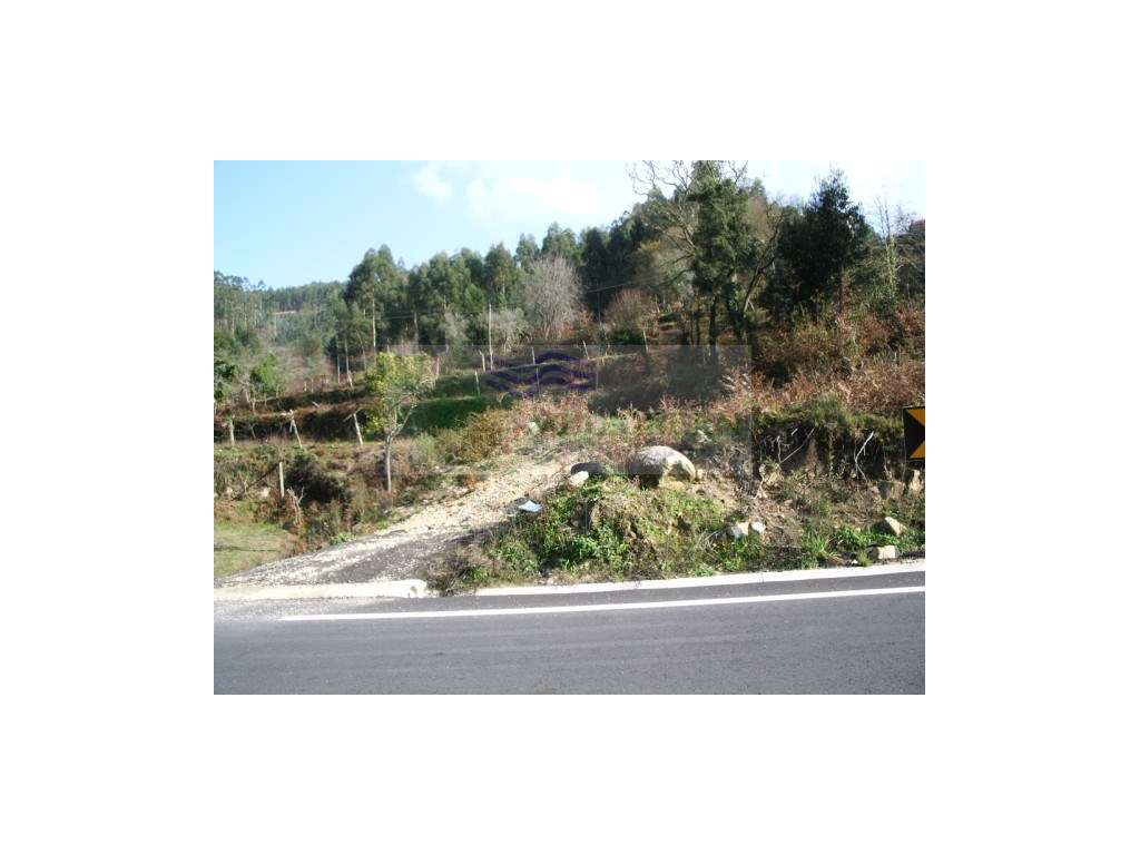 TERRENO COM VIABILIDADE DE CONSTRUÇÃO | EM MOSCALHOS | CEDRIM E PAR... - Grande imagem: 4/4