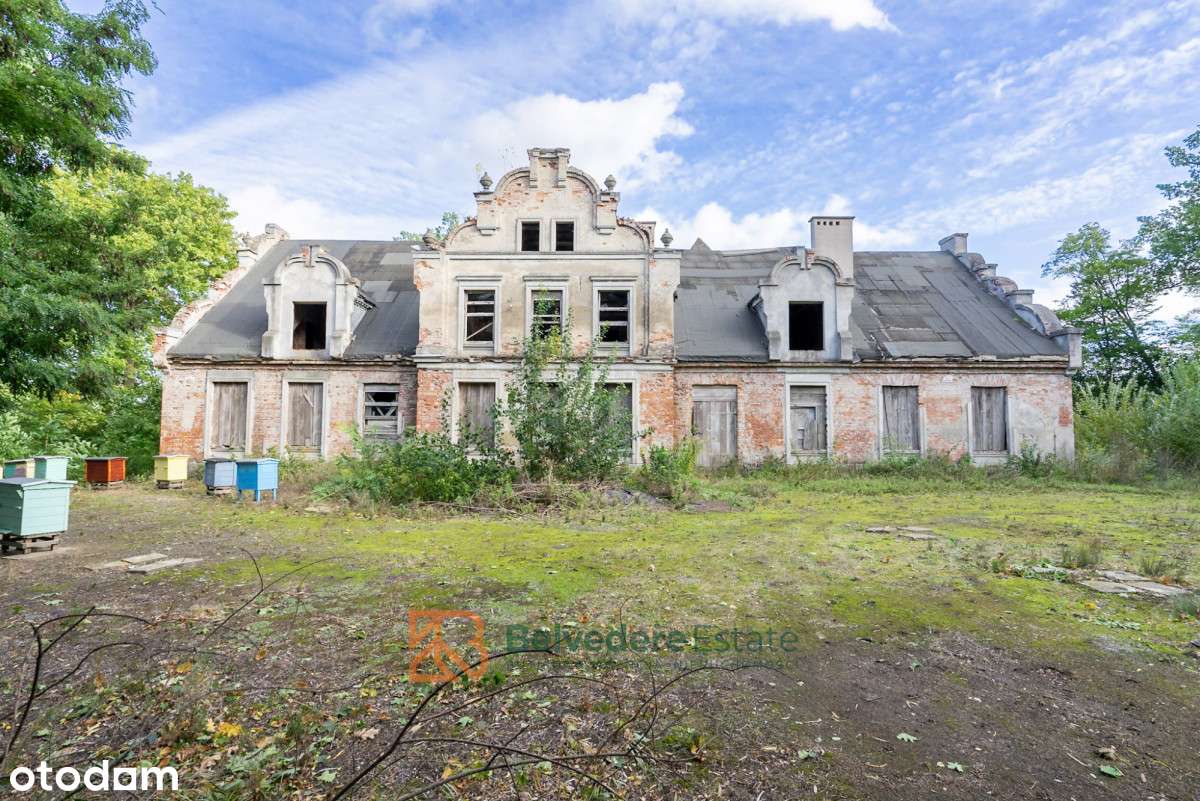 Pałac w Wopławkach z pięknym parkiem i stawem - Pełny obrazek: 2/14