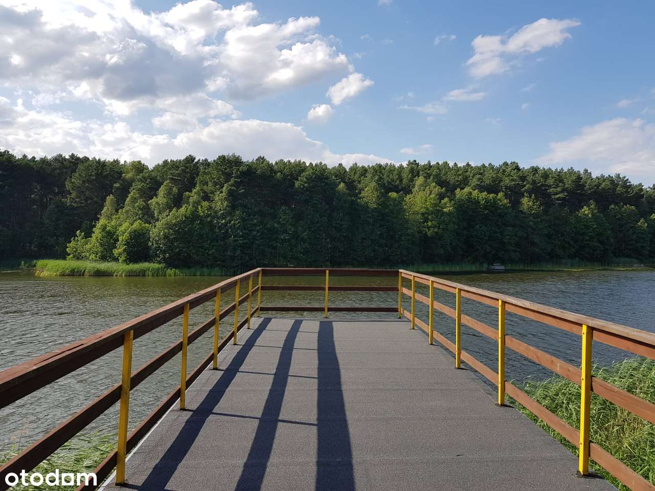 Domek letniskowy BRDA w lesie nad brzegiem jeziora-19