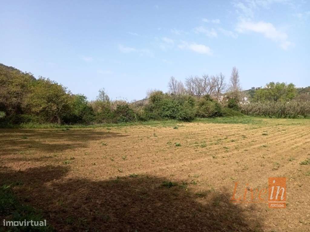 Terreno Agrícola em Ótima Localização com 3500 m2 Junto à Praia Rib... - Grande imagem: 5/8