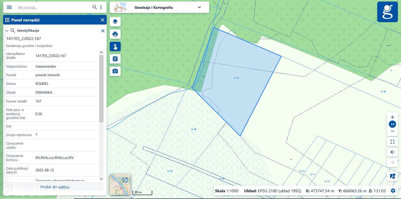Działka rekreacyjna z lasem Siwianka - Pełny obrazek: 5/5