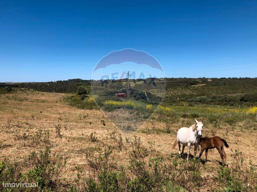 Terreno  para venda - Grande imagem: 4/7