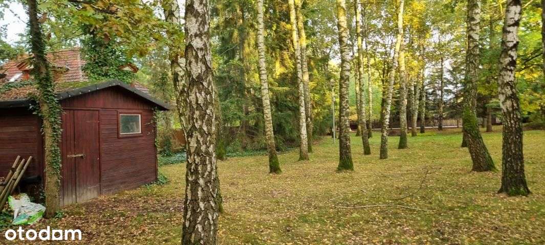 Komorów Budowlana Wkd-7