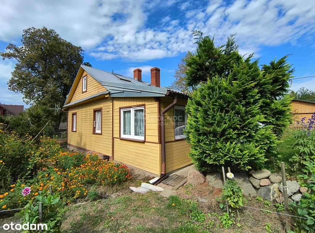 Siedlisko w Boruskach, tereny nadbużańskie - Pełny obrazek: 4/17