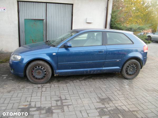 Audi A3 8P (2003r.) 1.6 B [75KW/102KM]. Cały Na Części (Wszystkie) - 2