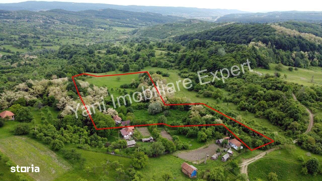 Teren de vânzare în comuna Tigveni, sat Blaju ( 34.600 mp ) - Imagine principală: 4/13
