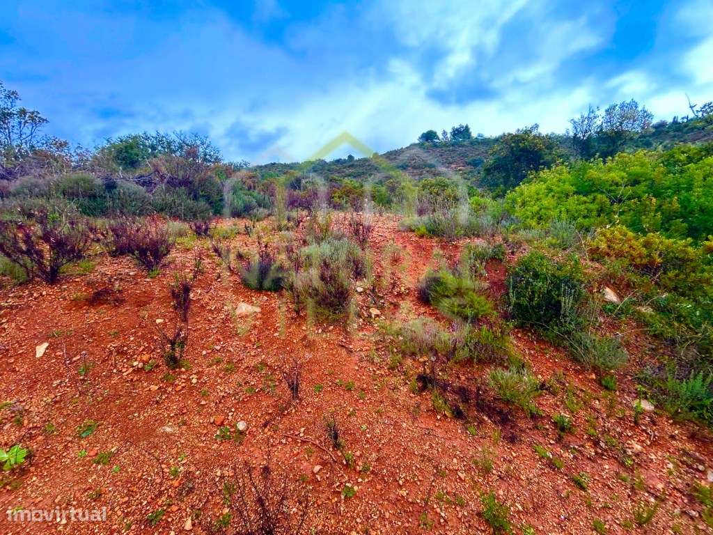 Terreno Rústico em Alcaria Branca, Estoi - Grande imagem: 5/7