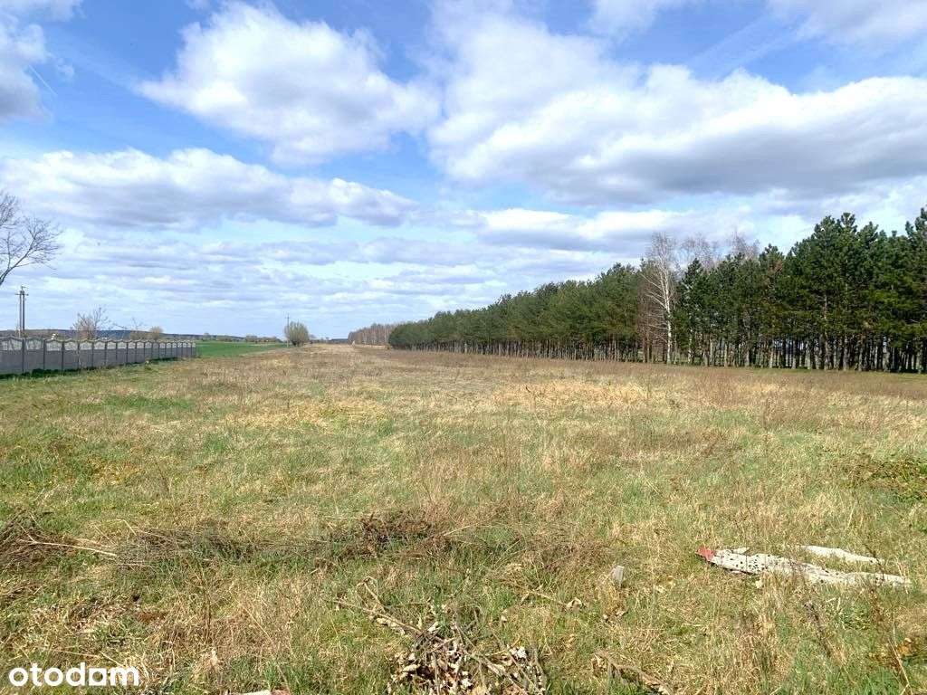 Na sprzedaż działki: budowlna, rolne oraz z budynk - Pełny obrazek: 4/13