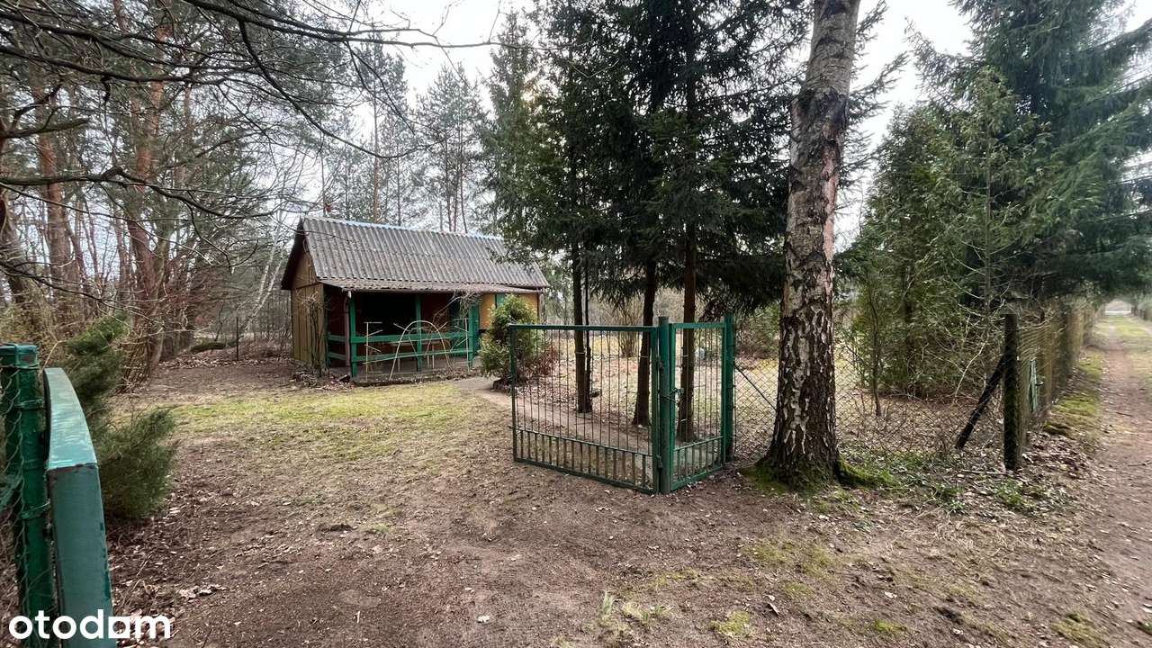 Działka rekreacyjna z małym domkiem letniskowym - Pełny obrazek: 4/4