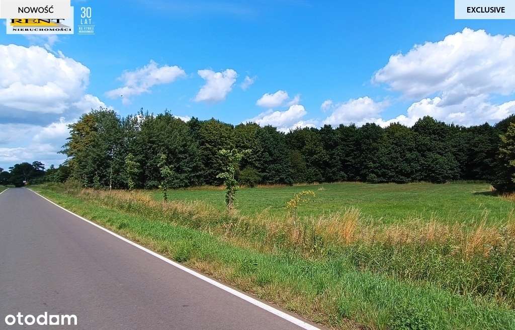 Działka budowlana w Dębicy k.Maszewa - Pełny obrazek: 5/11