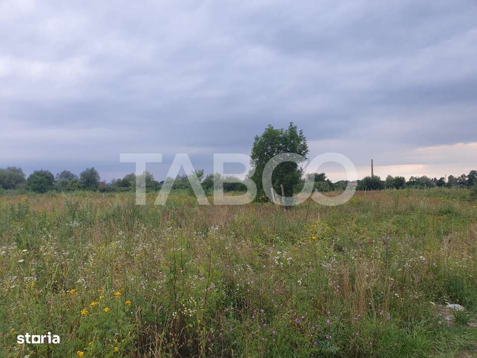 Teren intravilan 5040 mp in Sercaia acces DN1 168 m - Imagine principală: 3/4