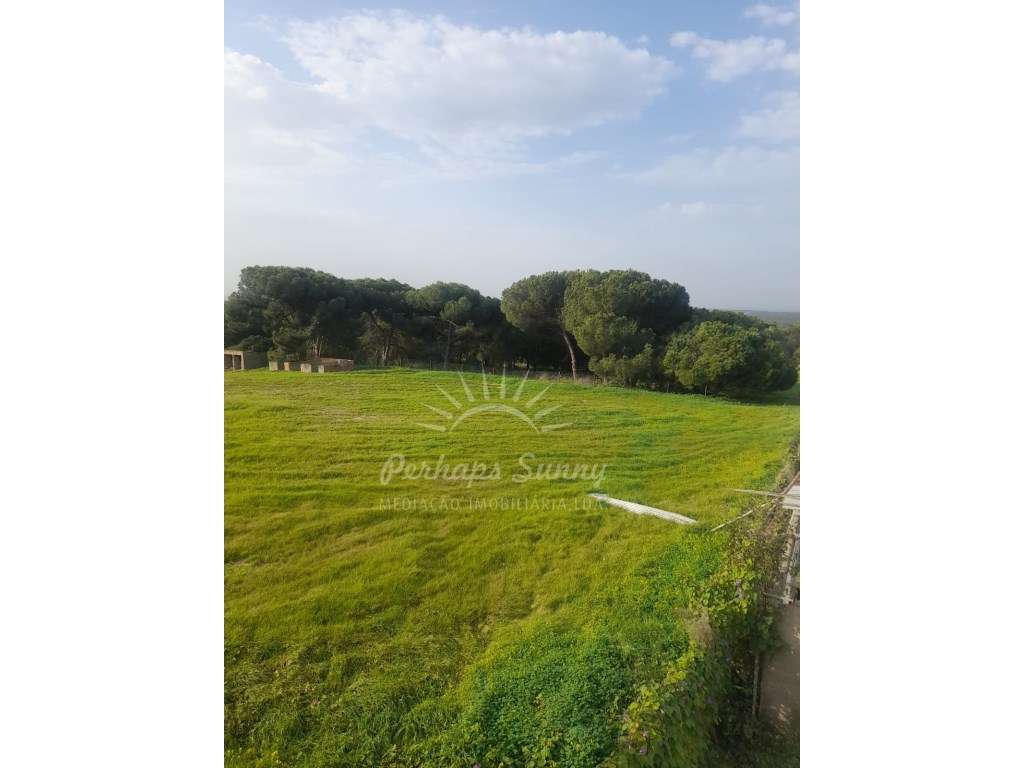 Moradia com Quintal - zona de Melides-26